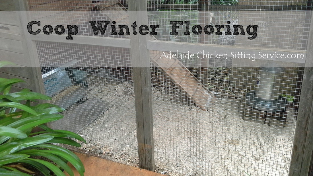 When its winter the jobs in the chicken coop don't stop. The coop ...